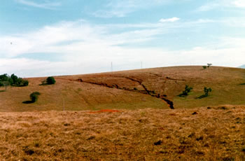 Figura 13 – Erosão com sulcos/voçorocas em área de pastagem degradada,  no município de Governador Valadares.