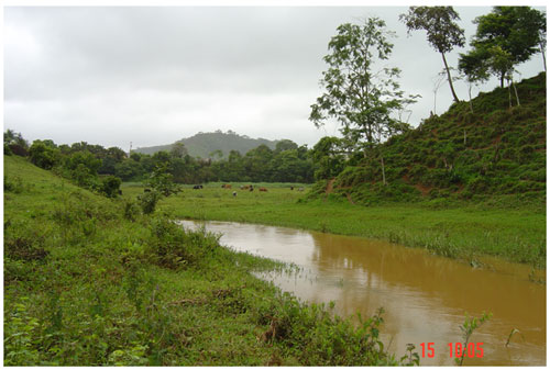 Figura 5 - Foto da seção fluvial selecionada (no 8)