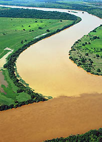 Figura 5 - Foz do rio das Velhas. Encontro das águas  impactadas do rio das Velhas, com as águas do  rio São Francisco, em Minas Gerais.